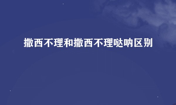 撒西不理和撒西不理哒呐区别