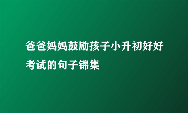 爸爸妈妈鼓励孩子小升初好好考试的句子锦集