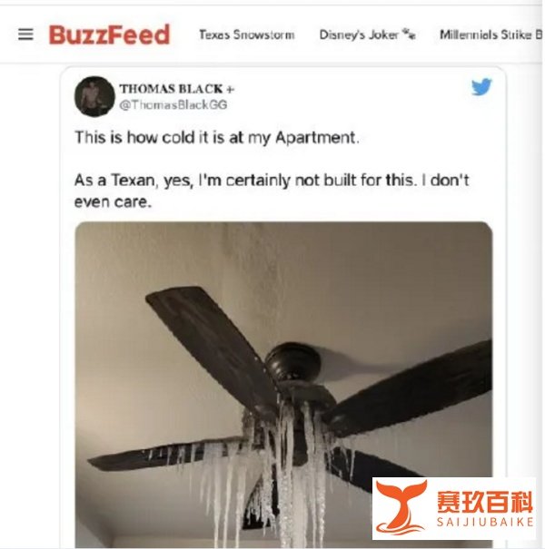 又双叒停电了?65元一度电?美国得州究竟发生了啥?