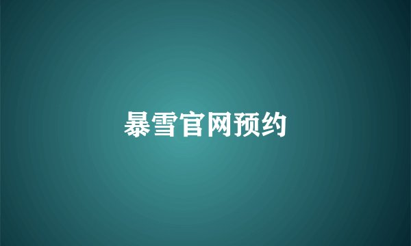 暴雪官网预约