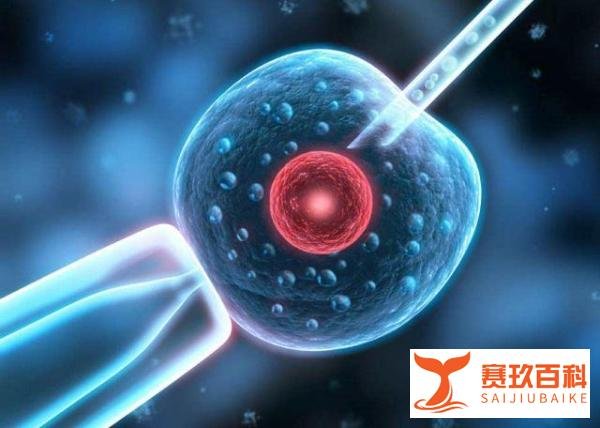 双胞胎兄弟年龄相差10岁！医生：他们确实是双胞胎