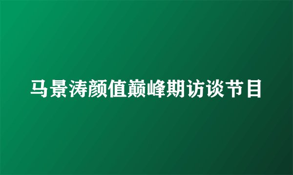 马景涛颜值巅峰期访谈节目