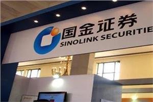 上海金丰投资股份有限公司的发展历程