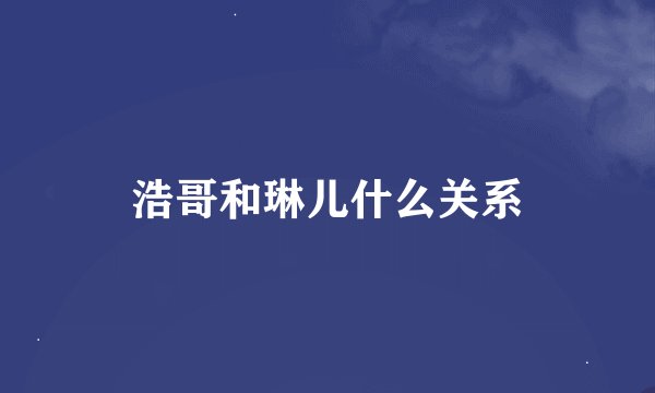 浩哥和琳儿什么关系