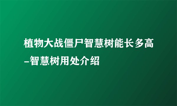 植物大战僵尸智慧树能长多高-智慧树用处介绍