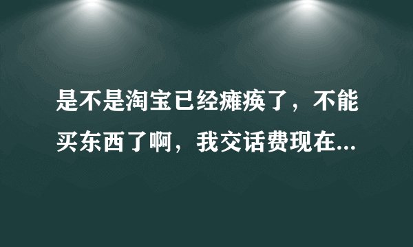 是不是淘宝已经瘫痪了，不能买东西了啊，我交话费现在都不可以了，听说有几万人在YY集会真的吗？