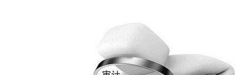 463号文件内容