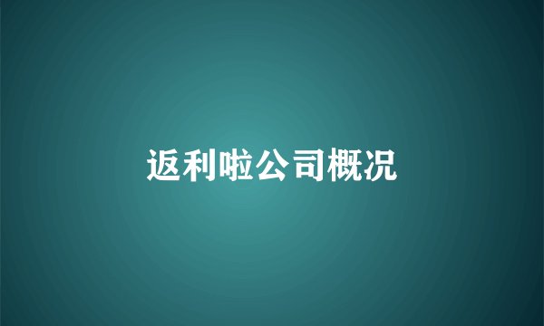 返利啦公司概况