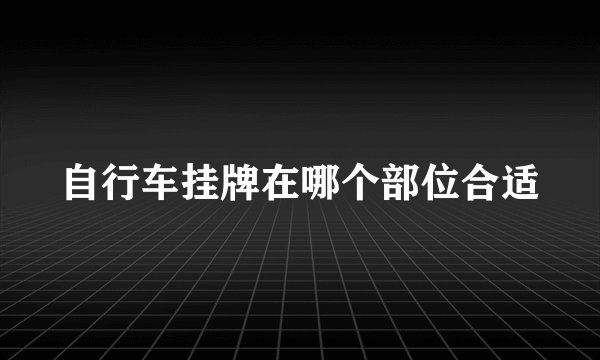 自行车挂牌在哪个部位合适