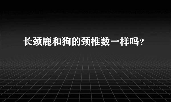 长颈鹿和狗的颈椎数一样吗？