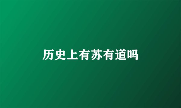 历史上有苏有道吗