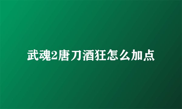 武魂2唐刀酒狂怎么加点