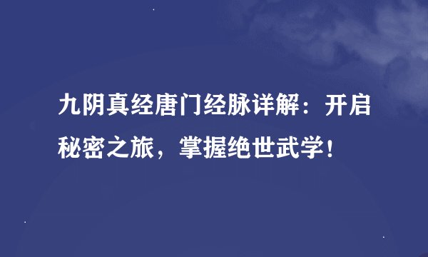九阴真经唐门经脉详解：开启秘密之旅，掌握绝世武学！