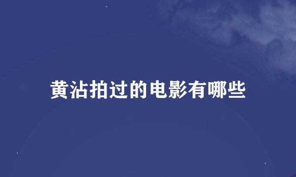 黄沾拍过的电影有哪些