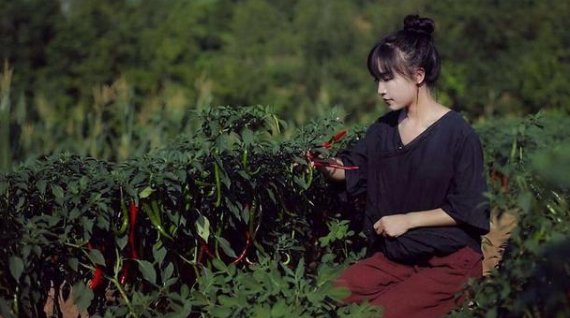 出题人是如何回应李子柒写入考卷的？