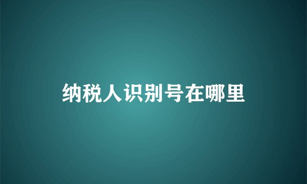 纳税人识别号在哪里