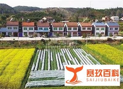 重磅!宅基地新规来了!老家农村的河北人快看!