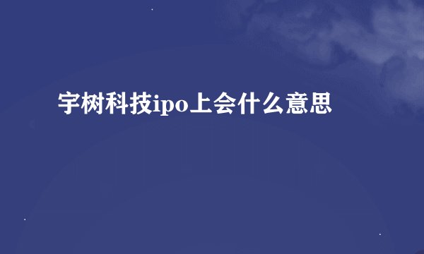 宇树科技ipo上会什么意思
