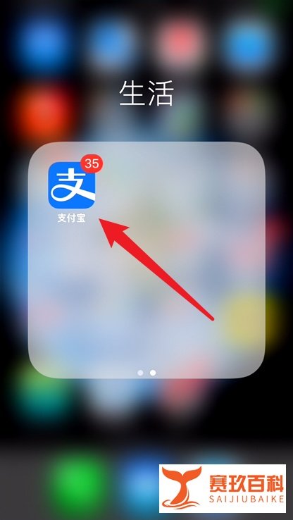 支付宝怎么亲手写福