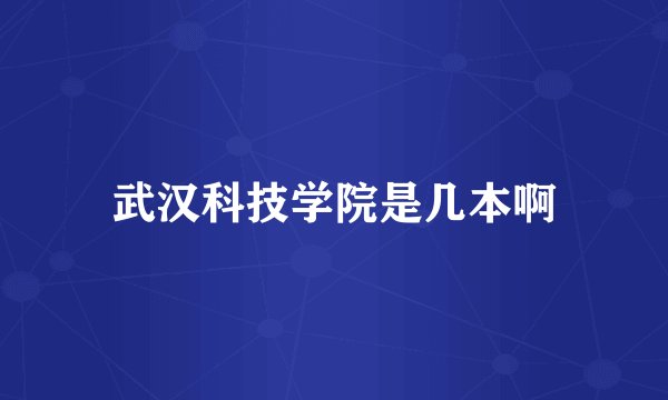 武汉科技学院是几本啊
