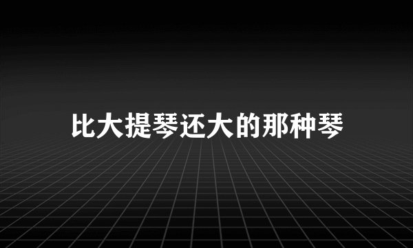 比大提琴还大的那种琴
