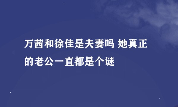 万茜和徐佳是夫妻吗 她真正的老公一直都是个谜