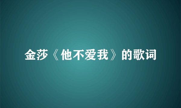 金莎《他不爱我》的歌词