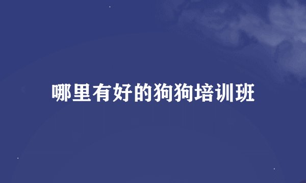 哪里有好的狗狗培训班