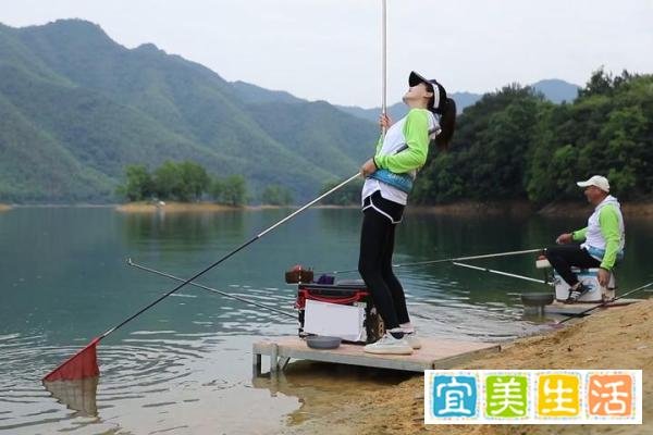 夏季钓罗非鱼的钓位、钓法和用饵技巧，夏季钓罗非鱼的秘诀