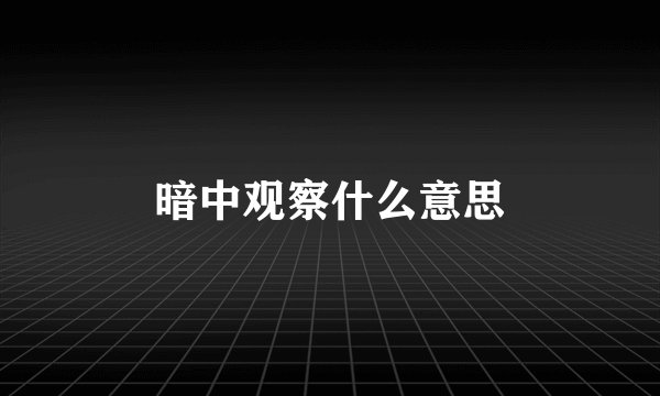 暗中观察什么意思