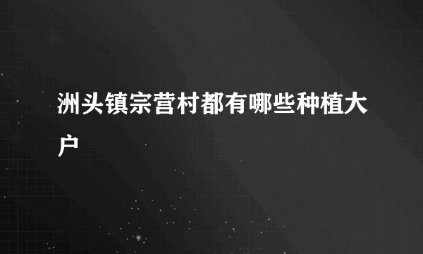 洲头镇宗营村都有哪些种植大户