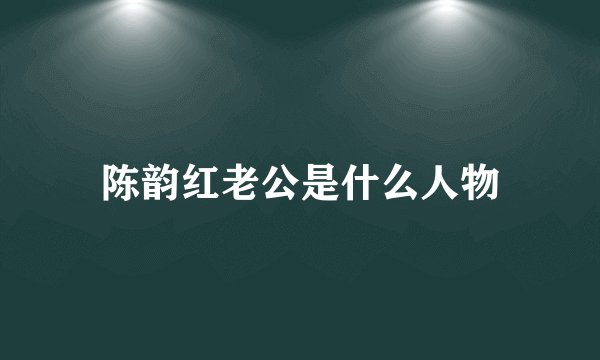 陈韵红老公是什么人物