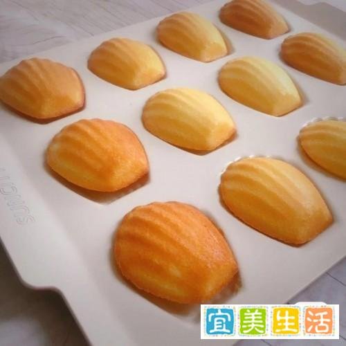 烹饪机什么牌子好 家有米博烹饪机器人,做饭再也不用愁