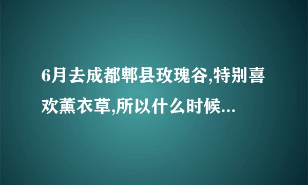 6月去成都郫县玫瑰谷,特别喜欢薰衣草,所以什么时候去开的最盛呢？...