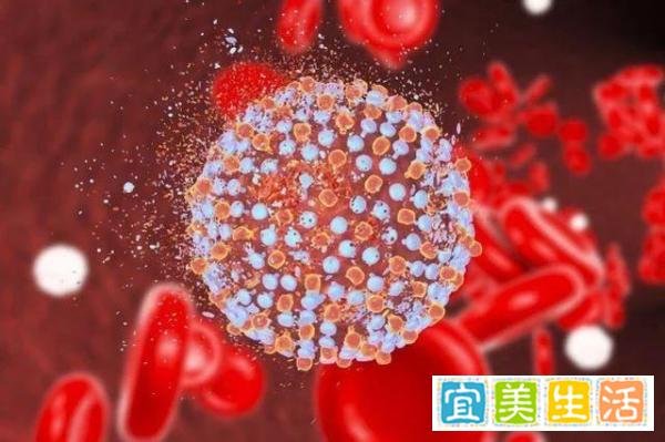 三大洲均已出现奥密克戎！情况可能比想象中更糟，钟南山紧急表态