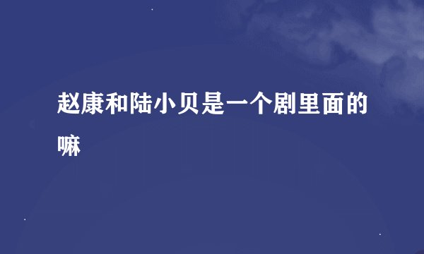 赵康和陆小贝是一个剧里面的嘛