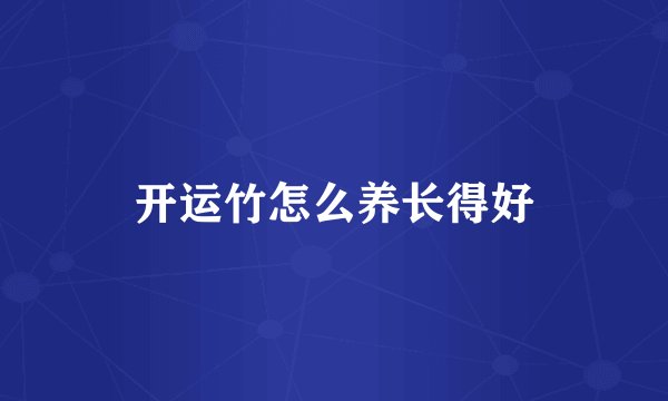 开运竹怎么养长得好