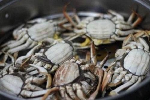 放在冰箱冷冻室里冻死的螃蟹,还能吃吗?