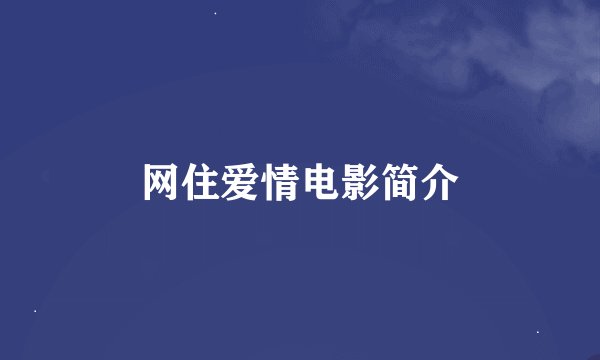 网住爱情电影简介