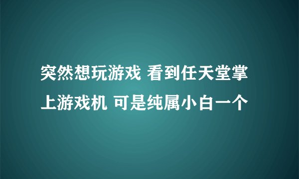 突然想玩游戏 看到任天堂掌上游戏机 可是纯属小白一个