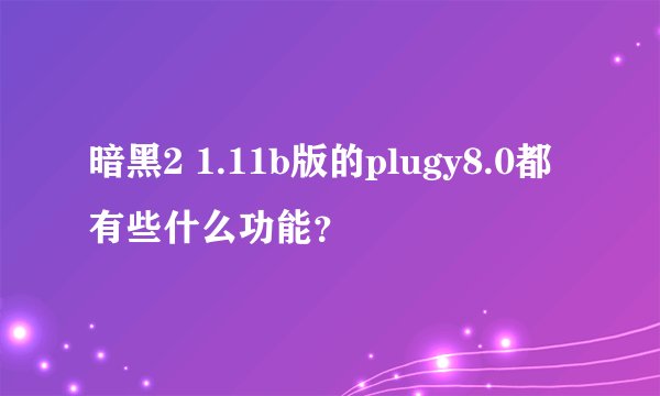 暗黑2 1.11b版的plugy8.0都有些什么功能？