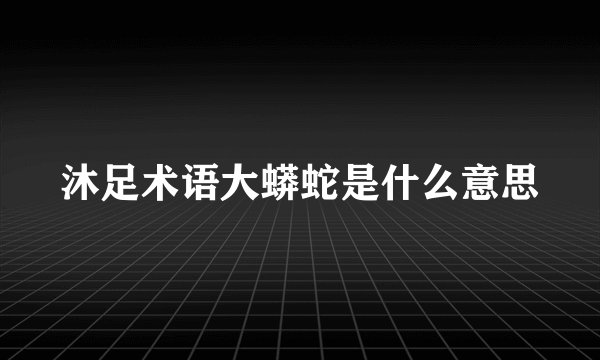 沐足术语大蟒蛇是什么意思