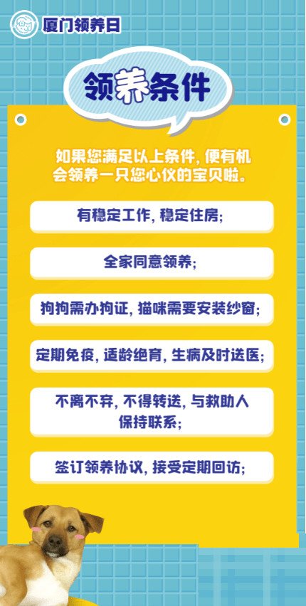 厦门宠物领养有哪些流程呢？