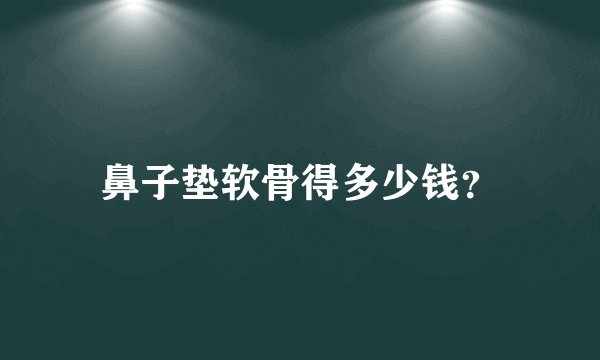 鼻子垫软骨得多少钱？