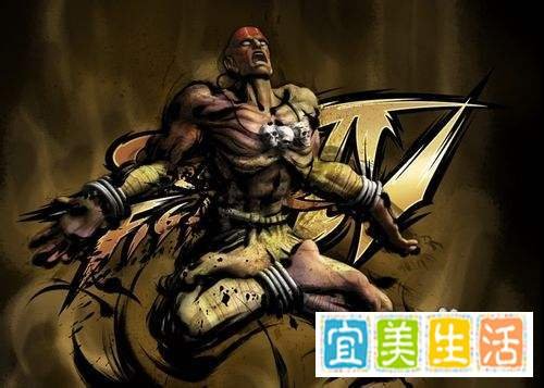 《街霸4》完美出招组合表STREET FIGHTER IV