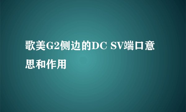 歌美G2侧边的DC SV端口意思和作用