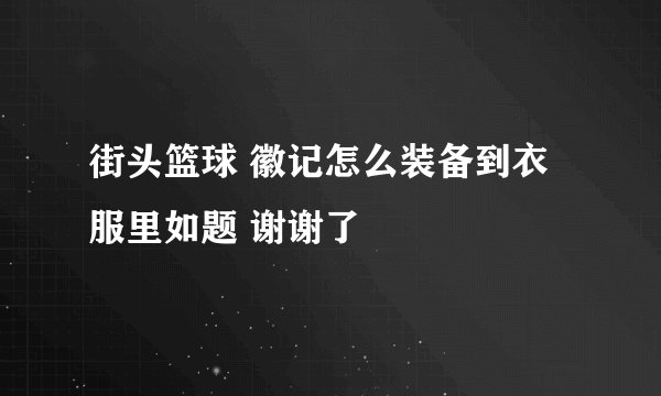 街头篮球 徽记怎么装备到衣服里如题 谢谢了