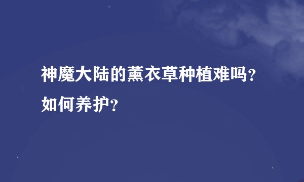 神魔大陆的薰衣草种植难吗？如何养护？