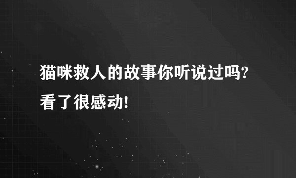 猫咪救人的故事你听说过吗?看了很感动!
