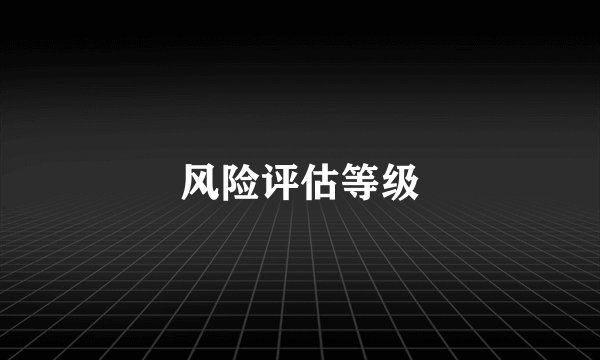 风险评估等级